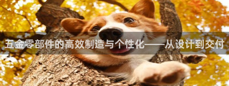 琳琅科技qq娱乐机器人怎么搞