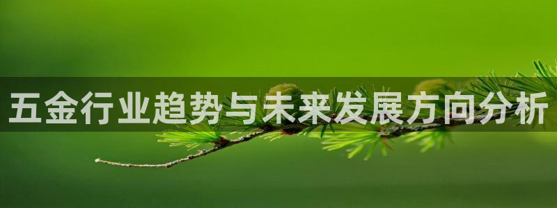 琳琅娱乐 全麦优质