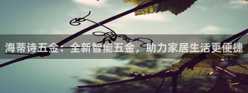 琳琅娱乐工作室