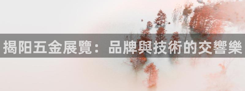 琳琅QQ娱乐机器人