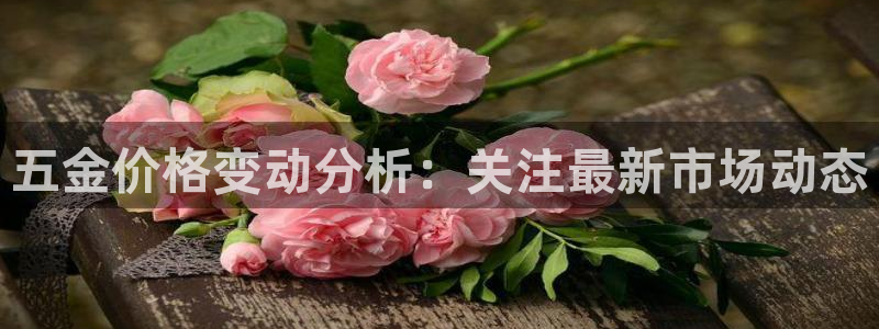 琳琅社区文艺娱乐