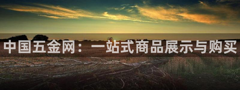 娱乐从琳琅榜开始的小说