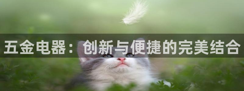 琳琅娱乐成年女人视频