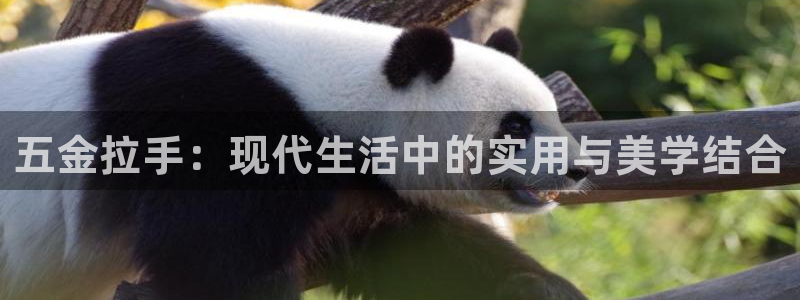 琳琅科技娱乐机器人教程