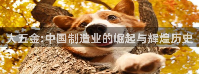 琳琅娱乐场所在哪里