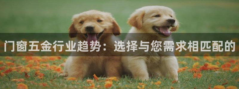 祖龙娱乐官网爱在琳琅