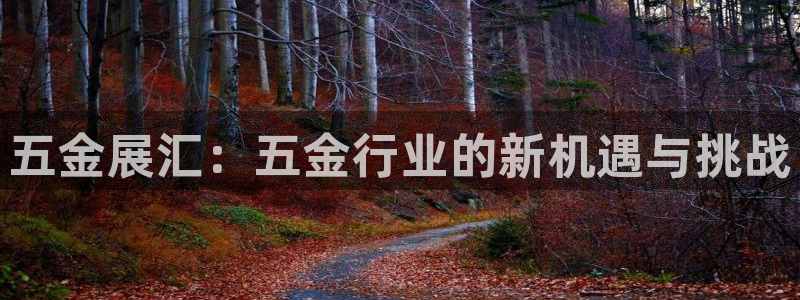 琳琅娱乐工作室地址查询