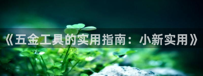 琳琅娱乐工作室招聘信息