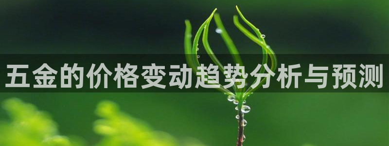 琳琅娱乐主管是谁