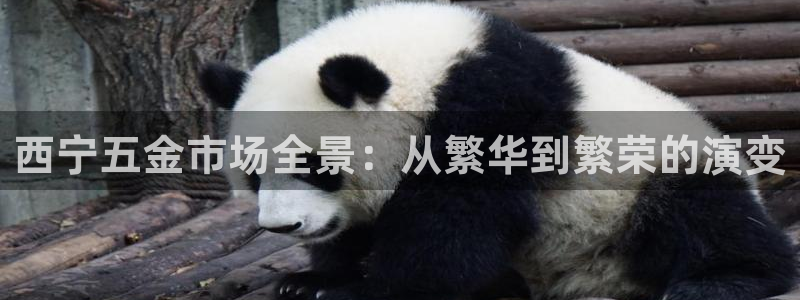 琳琅天上qq飞车娱乐