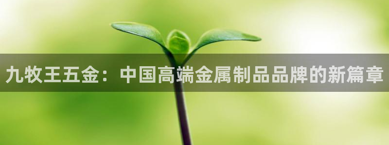 琳琅社区娱乐视频