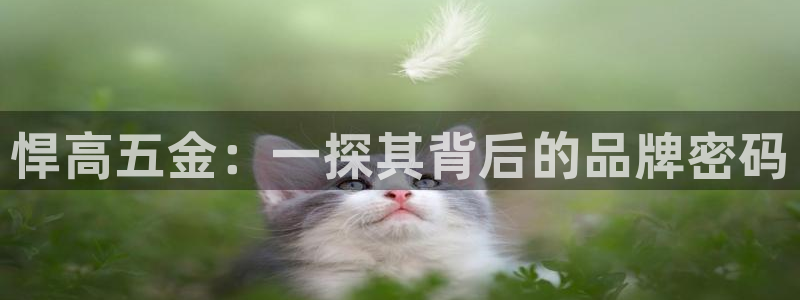 娱乐 从琳琅榜开始