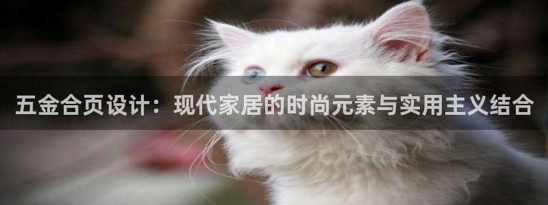 琳琅娱乐工作室招聘电话