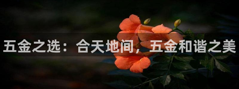 琳琅国际娱乐会所怎么样