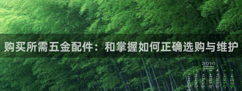 琳琅科技娱乐机器人下载