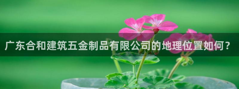 琳琅天上qq飞车娱乐