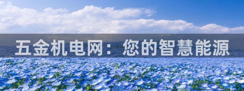 琳琅娱乐是什么