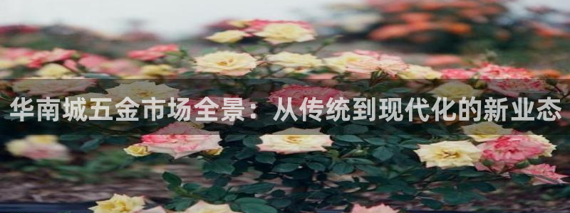 娱乐从琳琅榜开始的小说