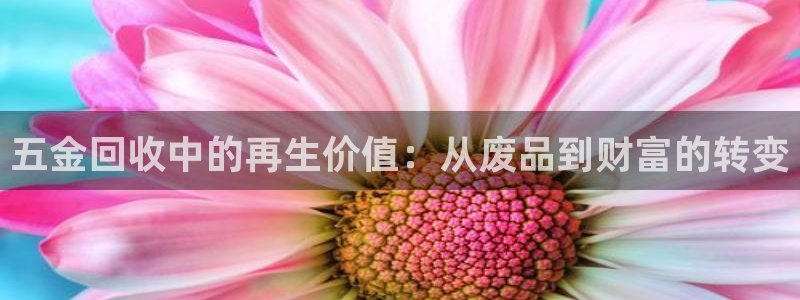 琅琳琅娱乐