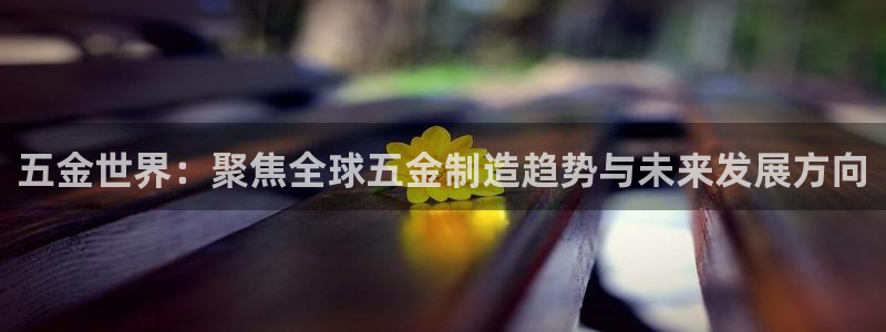 娱乐从琳琅榜开始的小说