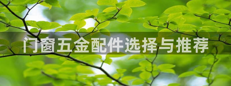 琳琅娱乐免费线上观看
