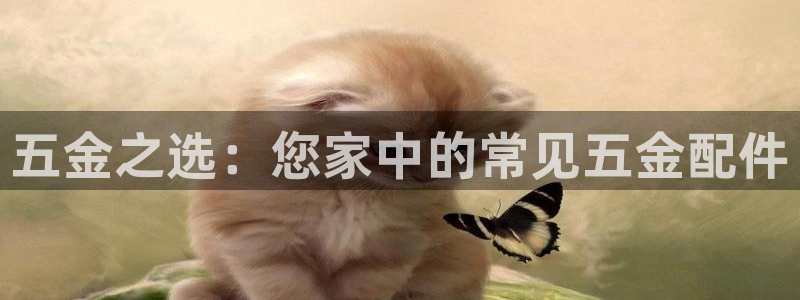 琳琅娱乐平台怎么样知乎