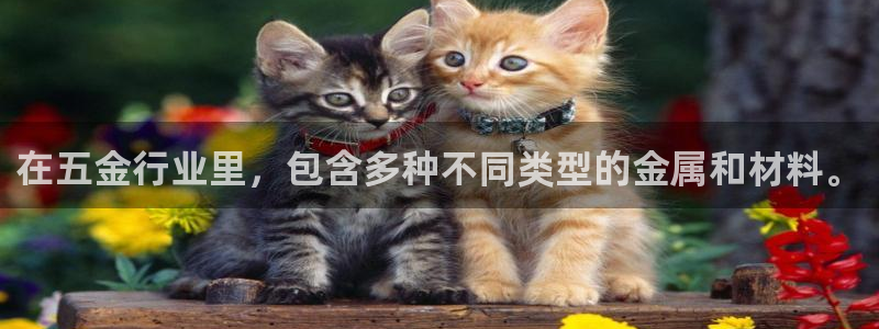 琳琅娱乐在线观看