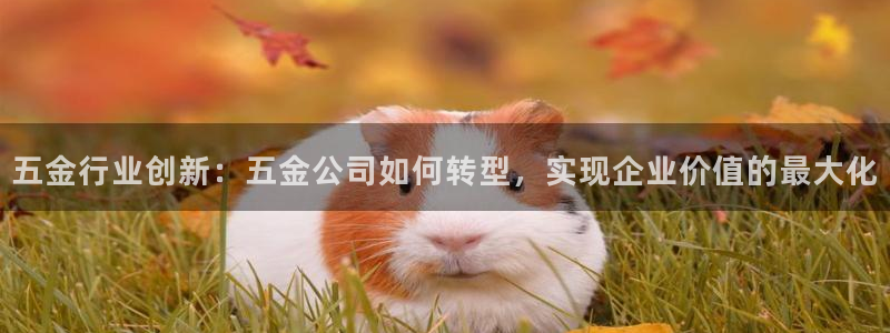 琳琅谈娱乐