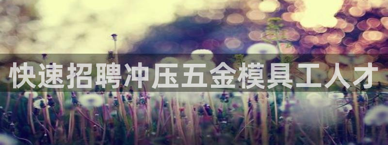 琳琅娱乐八卦