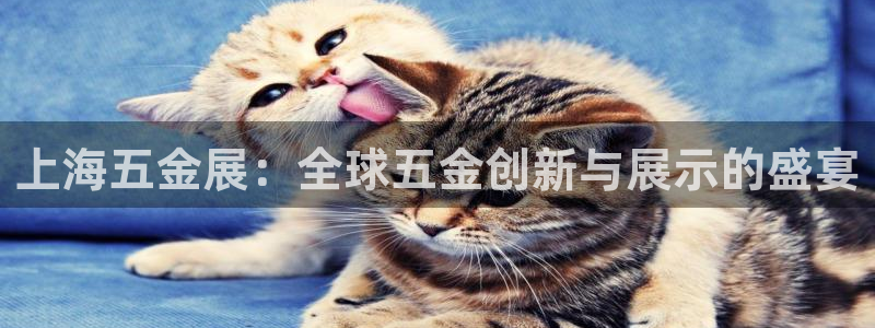 qq飞车琳琅娱乐组