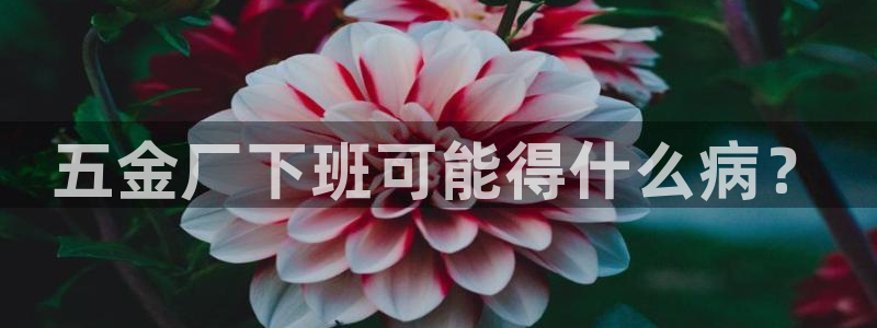 琳琅科技娱乐机器人