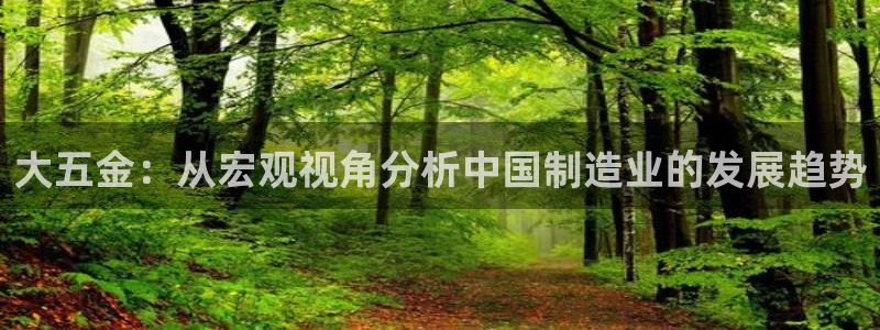 琳琅娱乐在哪直播