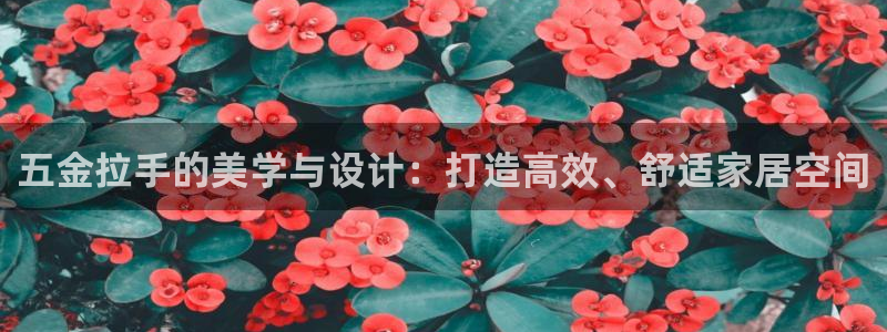 琳琅QQ娱乐机器人