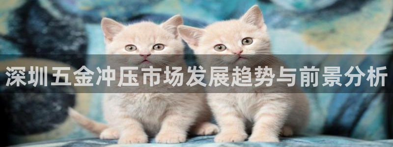 琳琅国际娱乐会所