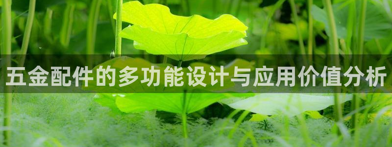 琳琅娱乐领先33300