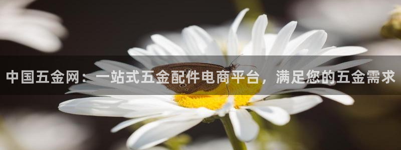 琳琅娱乐