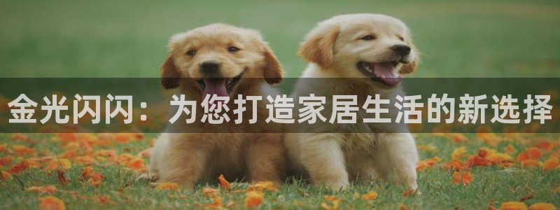 琳琅娱乐除7O777